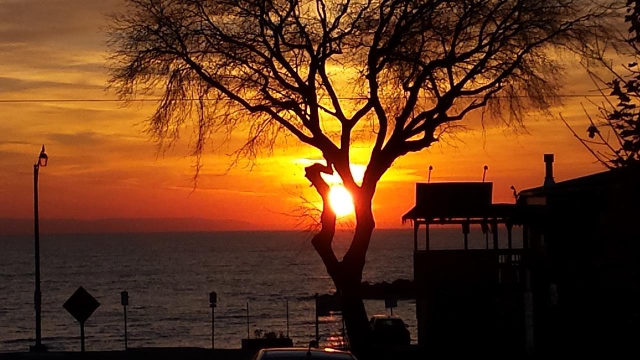 Balm Beach Resort And Motel المظهر الخارجي الصورة